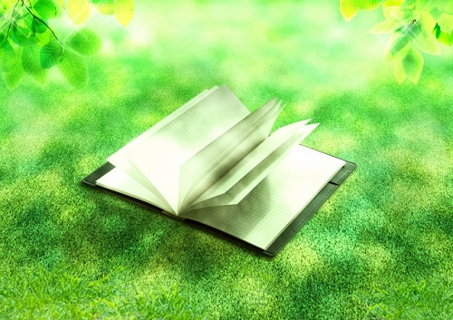 本と芝生
